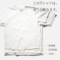 キャンバーCAMBER302マックスウェイト半袖ポケットTシャツ無地半袖厚手クルーネックMADEINUSA(アメリカ製米国製ポケT）