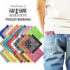 ハバハンクHAV-A-HANKバンダナアメリカ製トラディショナルペイズリーメンズレディースユニセックス男女兼用MADEINUSA綿100％コットン｜ハブアハンクハンカチ代わりにも赤白黒