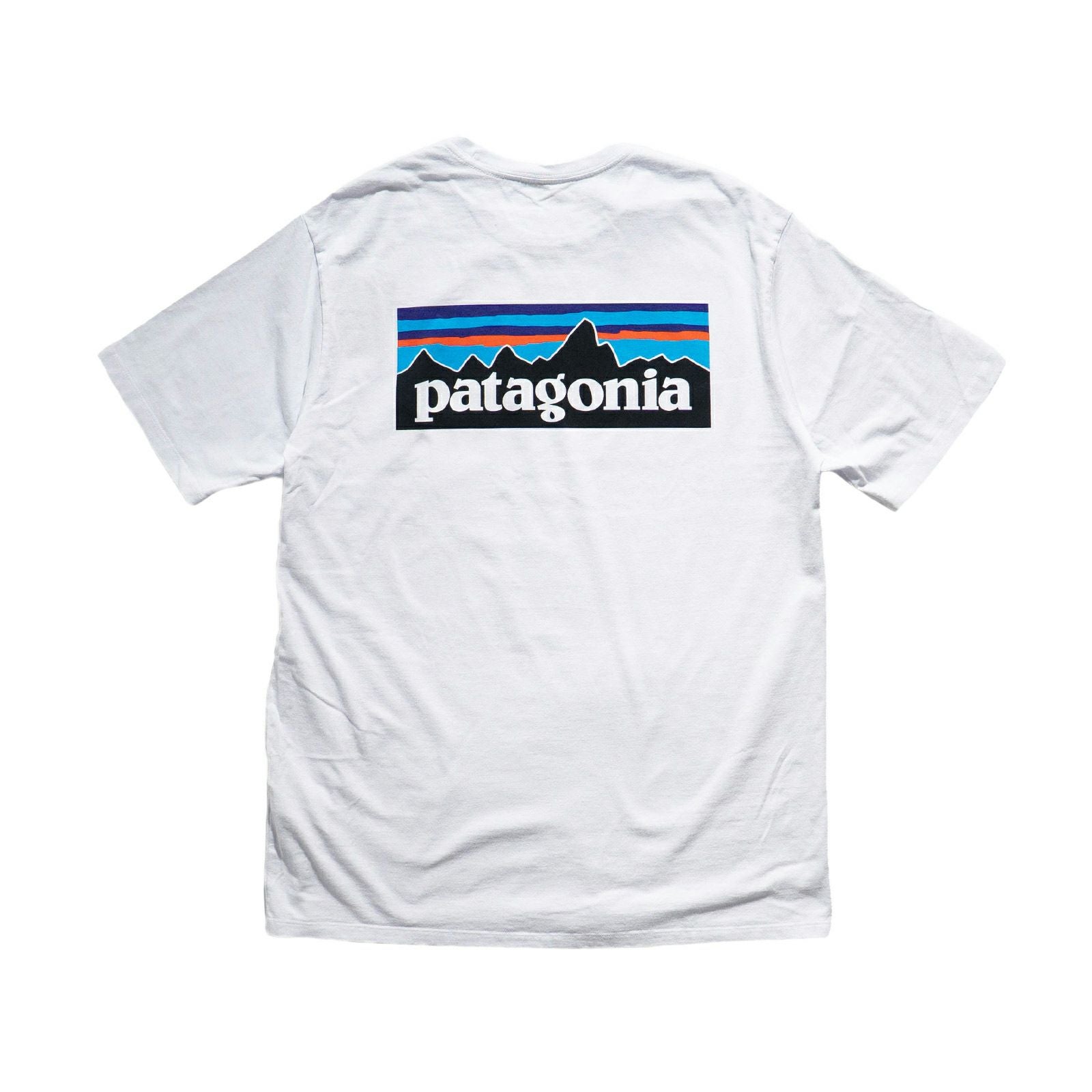 パタゴニアpatagonia半袖TシャツP-6ロゴレスポンシビリティー