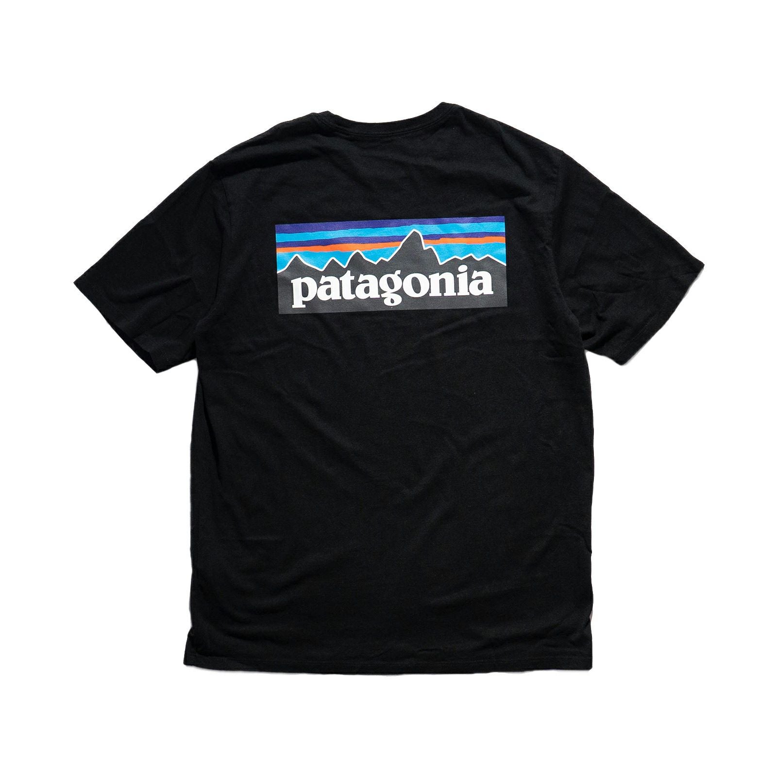 パタゴニアpatagonia半袖TシャツP-6ロゴレスポンシビリティー