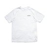 パタゴニアpatagonia半袖TシャツP-6ロゴレスポンシビリティー