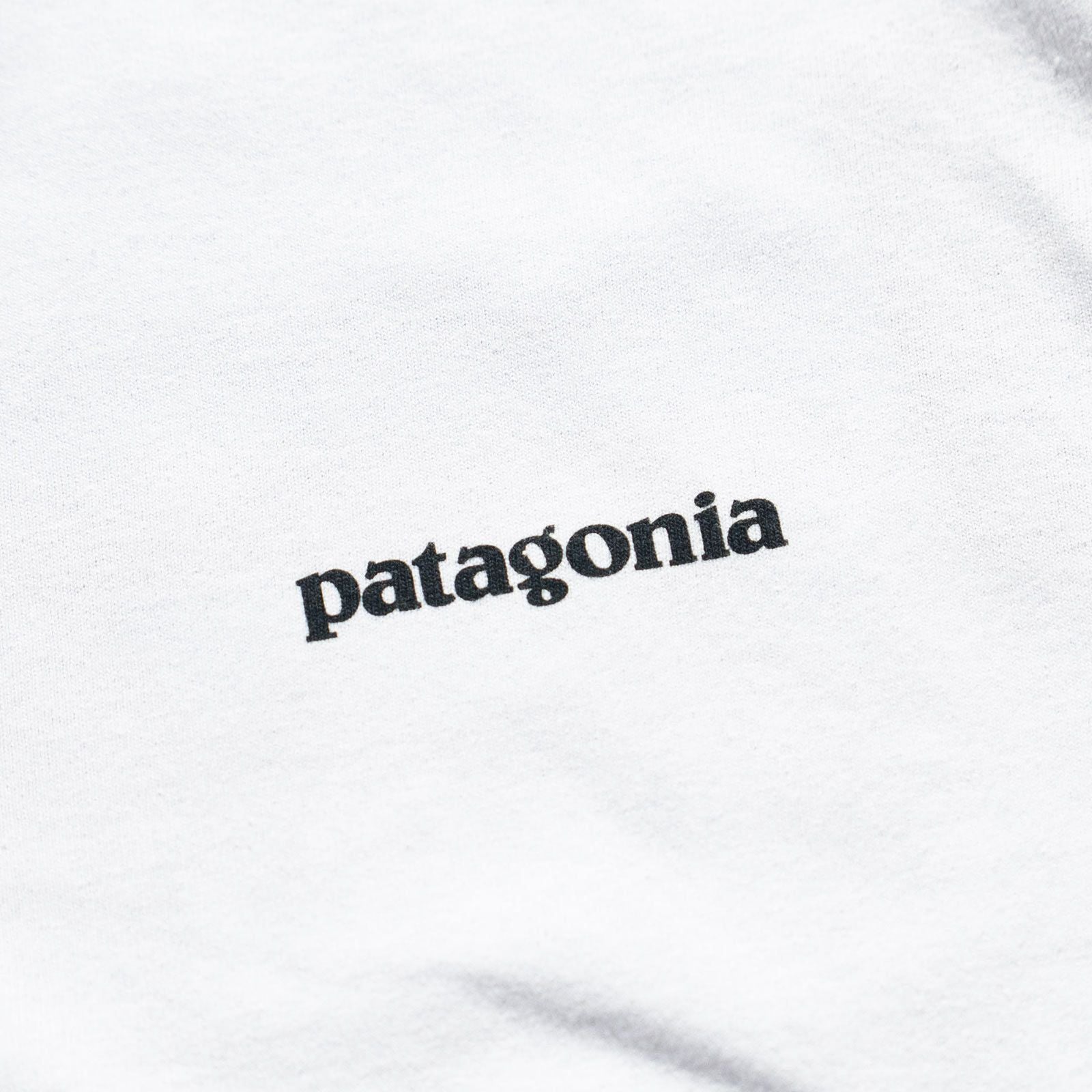 パタゴニアpatagonia半袖TシャツP-6ロゴレスポンシビリティー