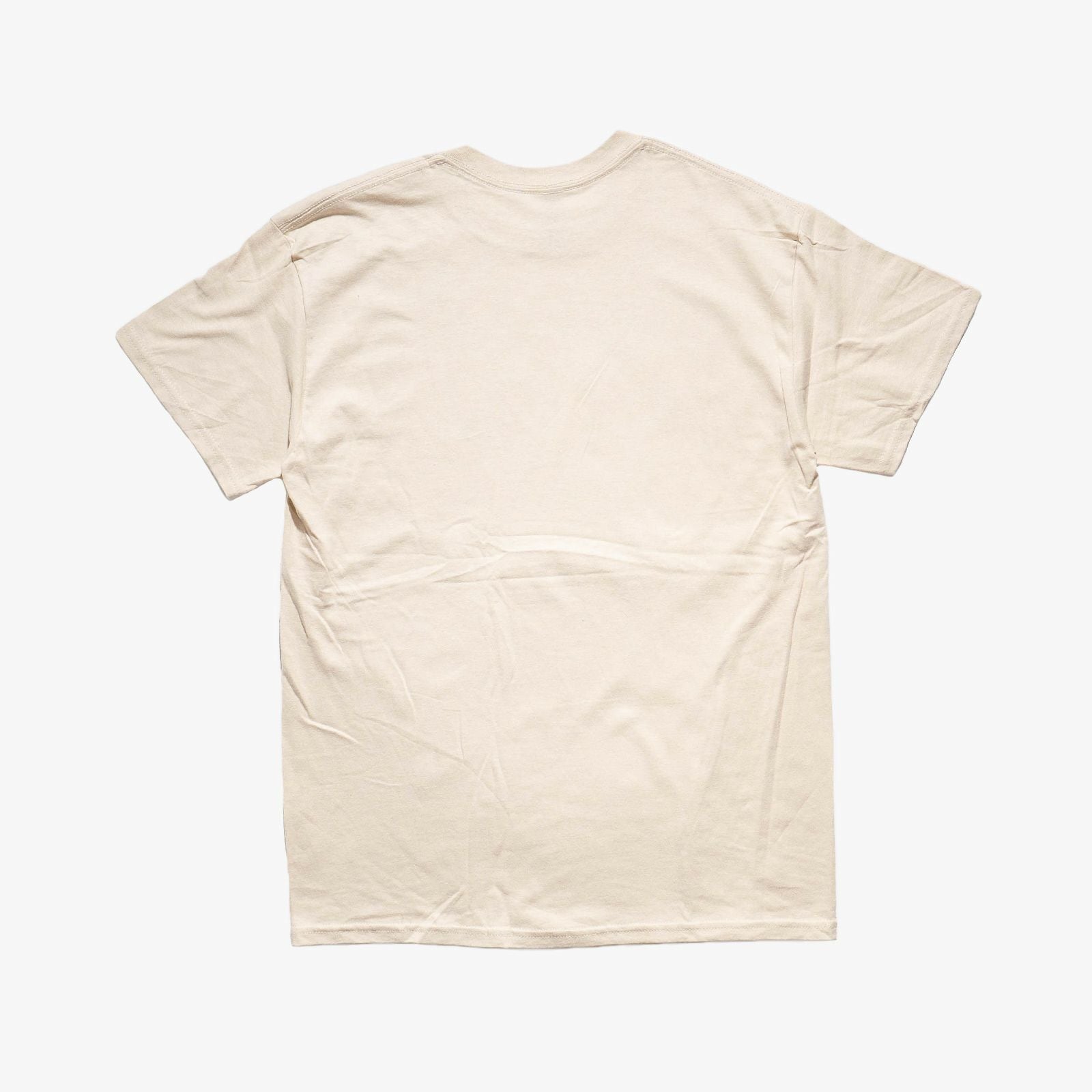 アトラススクリーンプリンティングATLASSCREENPRINTING半袖Tシャツフォッシルズガイド