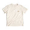 パタゴニアPATAGONIAバギーオーガニックTシャツ