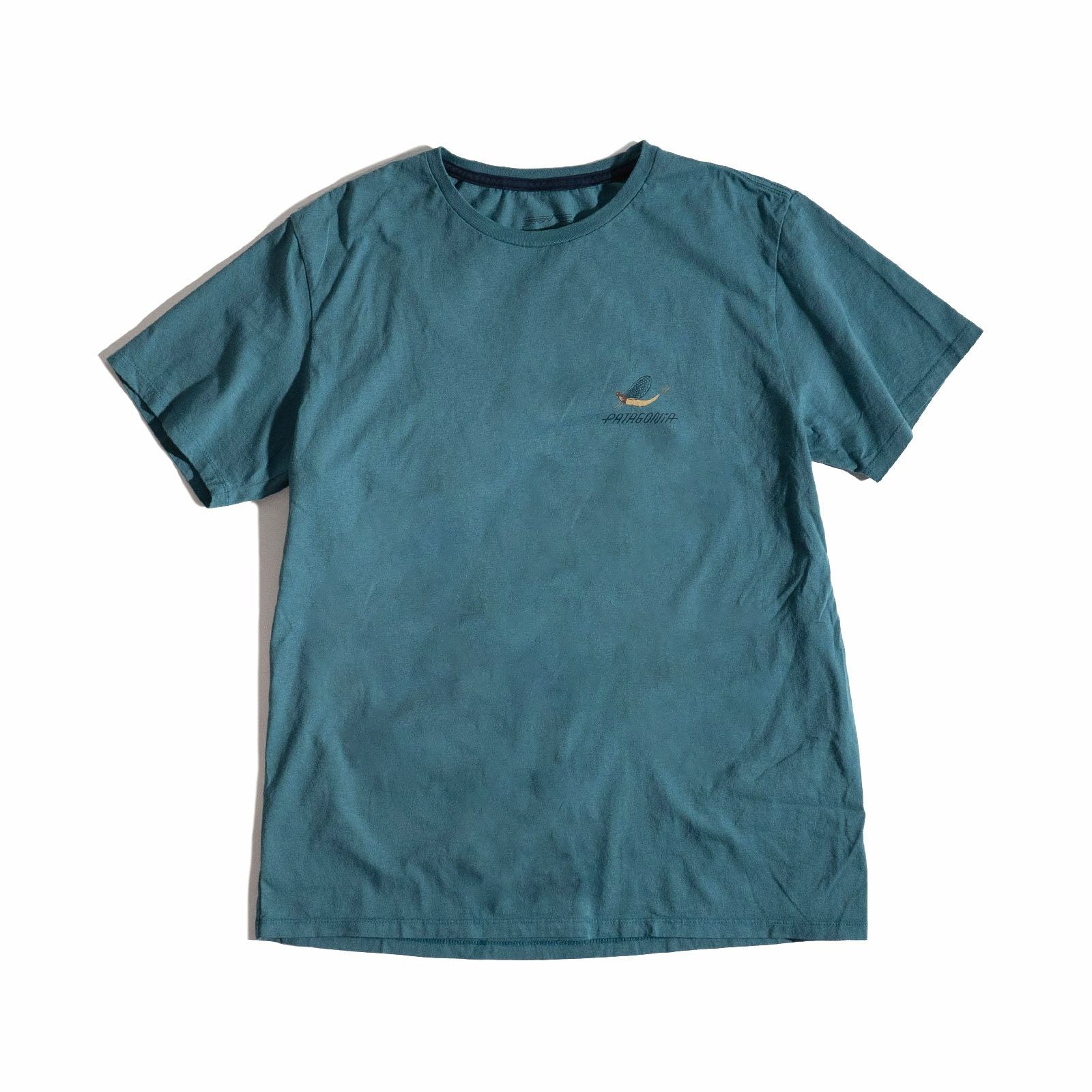 パタゴニアPATAGONIAバギーオーガニックTシャツ