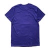 カンフーkungfu.バンドTシャツダイナソージュニアカウ