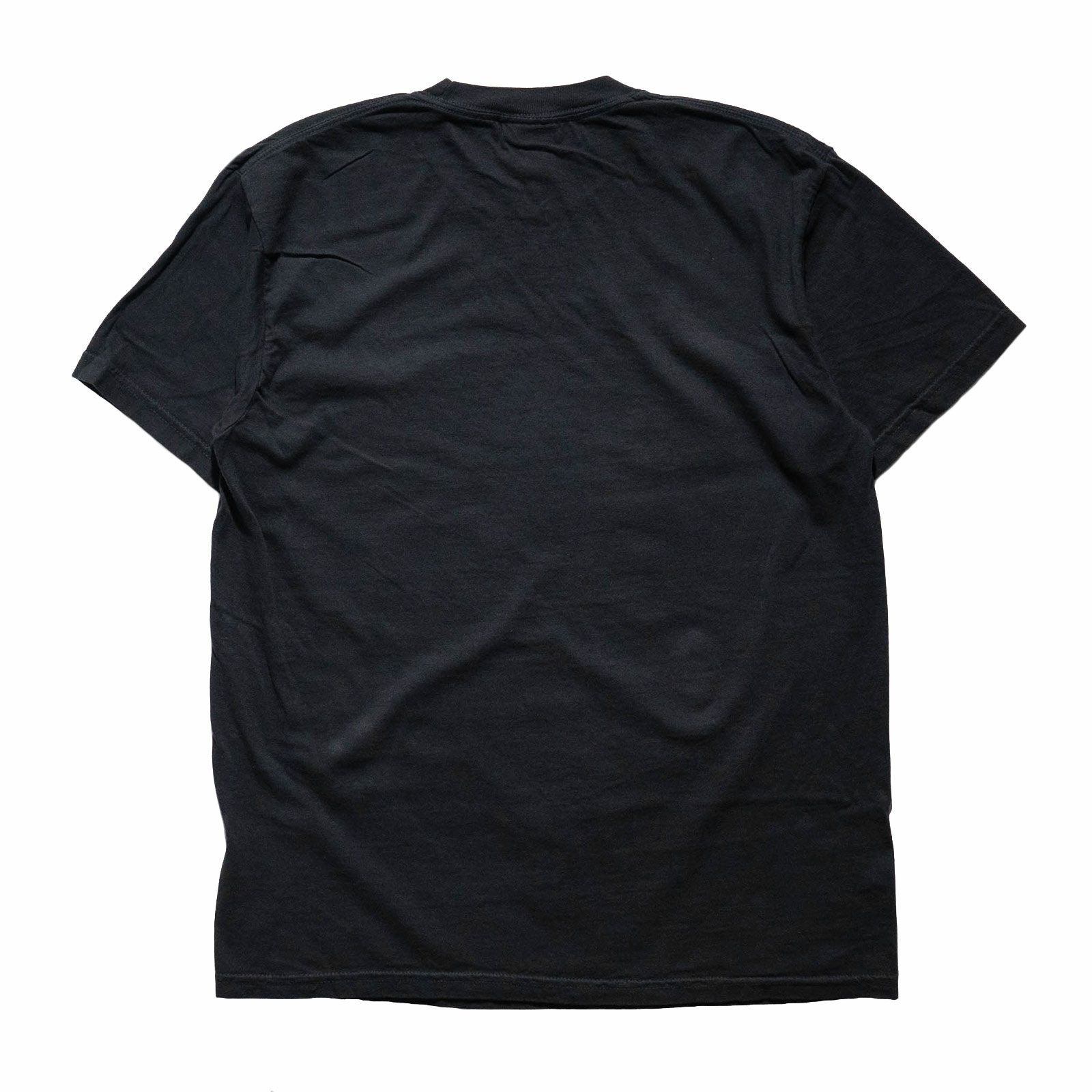 カンフーkungfu.バンドTシャツダイナソージュニアワットエバーズクールウィズミービッグサイズ