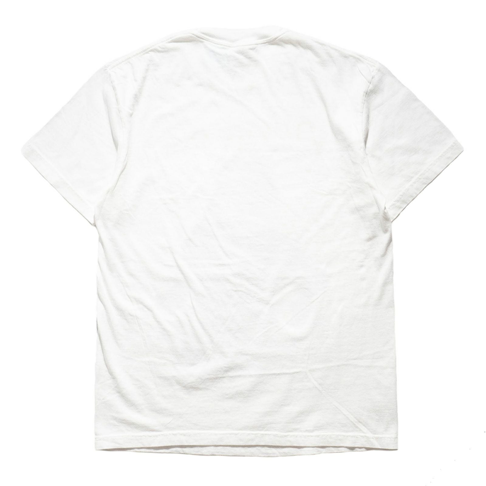 カンフーkungfu.バンドTシャツダイナソージュニアグリーンマインドビッグサイズ