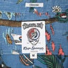 レインスプーナーXグレイトフルデッドREYNSPOONERXGRATEFULDEADファーアウト半袖アロハシャツ