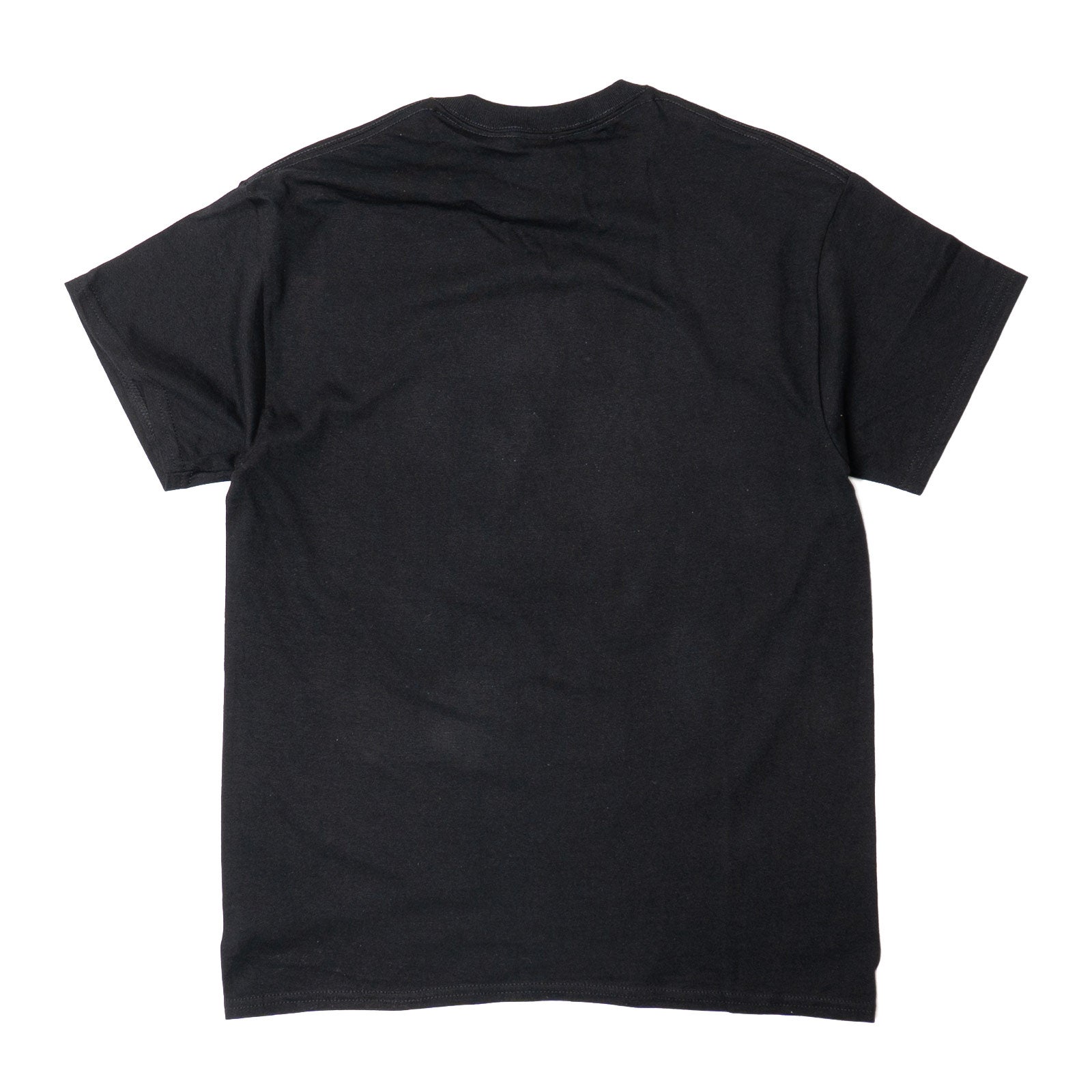 アトラススクリーンプリンティングATLASSCREENPRINTING半袖TシャツアルティメットミネラルガイドWC686T