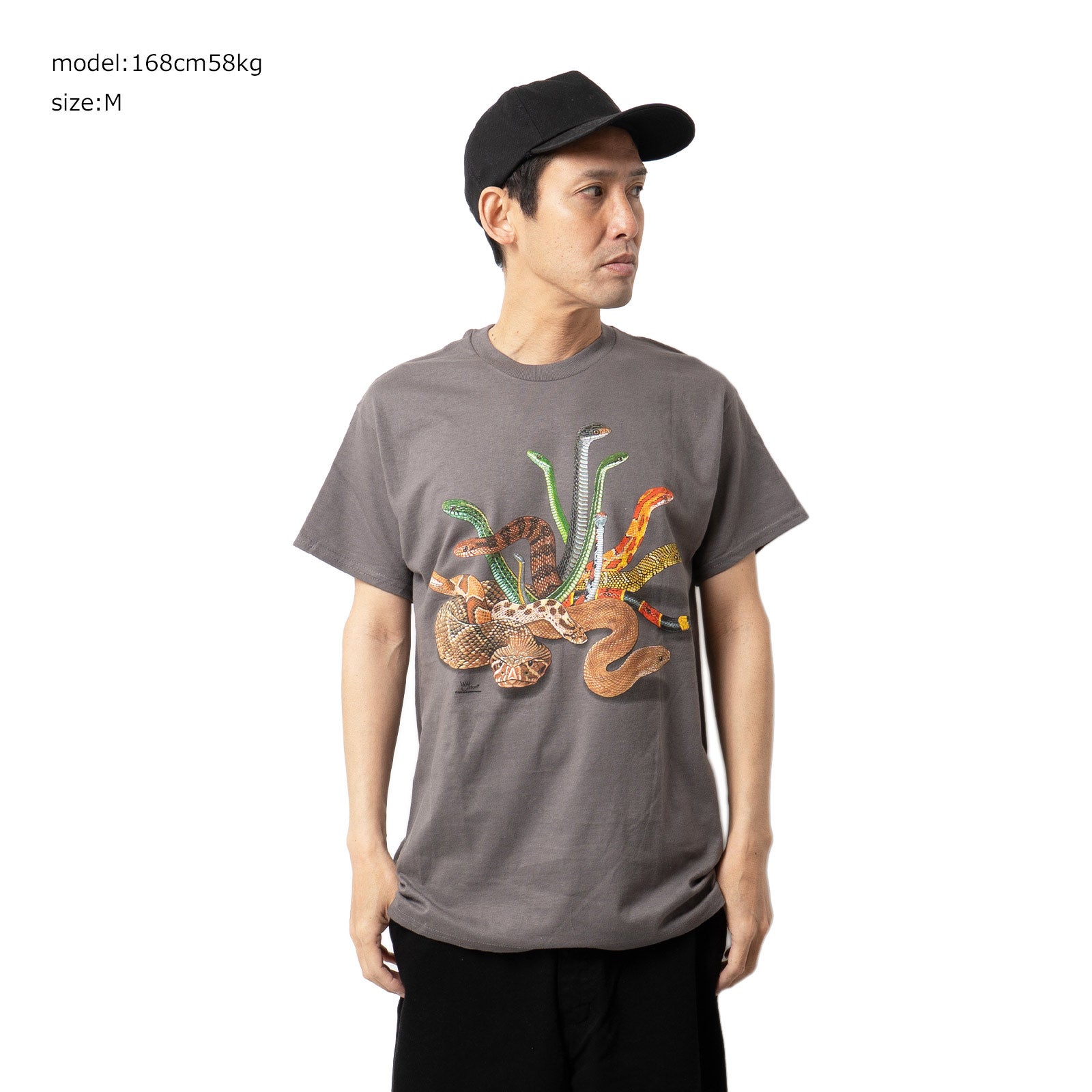 アトラススクリーンプリンティングATLASSCREENPRINTING半袖TシャツスネークスWC346T
