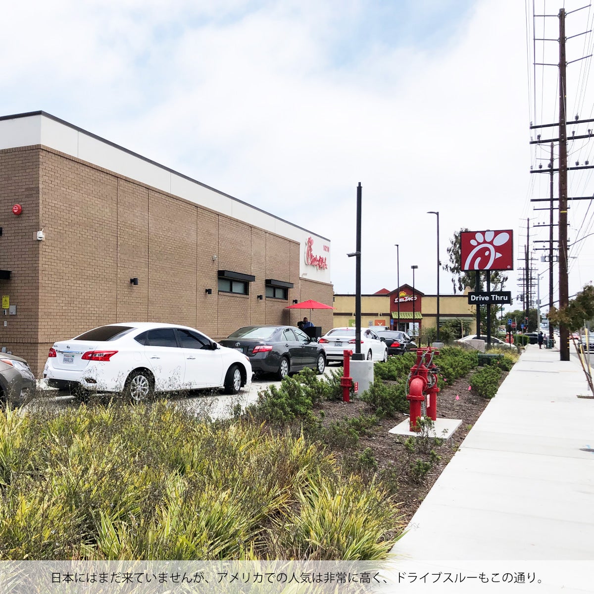 チックフィレイChick-fil-Aデリシャスアンドディライトフルサンドイッチ半袖Tシャツ